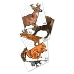 100 pack paper targets for air 0 1753353902 - EASTCOASTPAINTTBALL